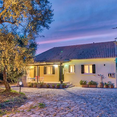 Olivegrove Villa - Nestled In Olive Trees With Private Pool, By Zantewize ตรากากิ ภายนอก รูปภาพ