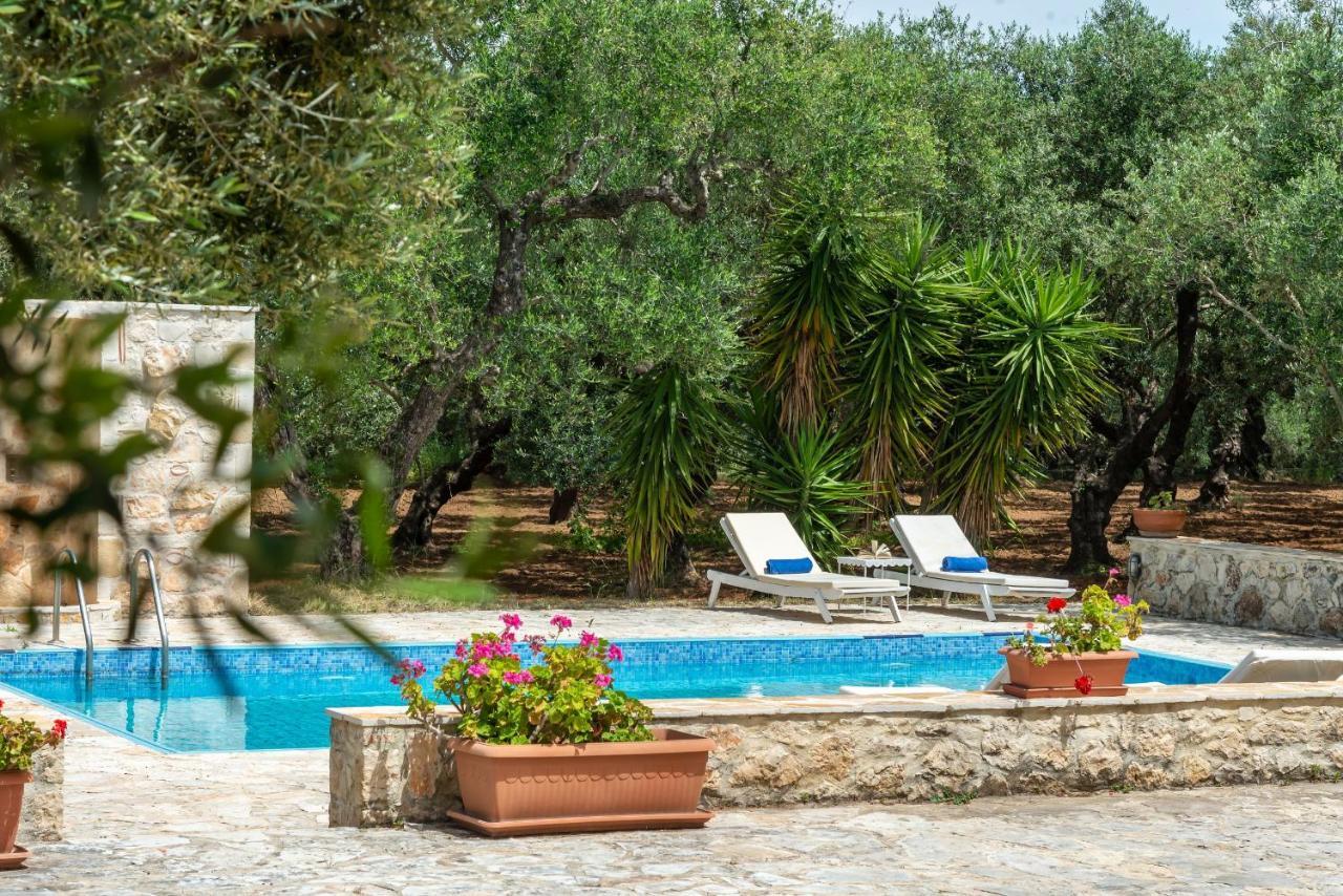 Olivegrove Villa - Nestled In Olive Trees With Private Pool, By Zantewize ตรากากิ ภายนอก รูปภาพ