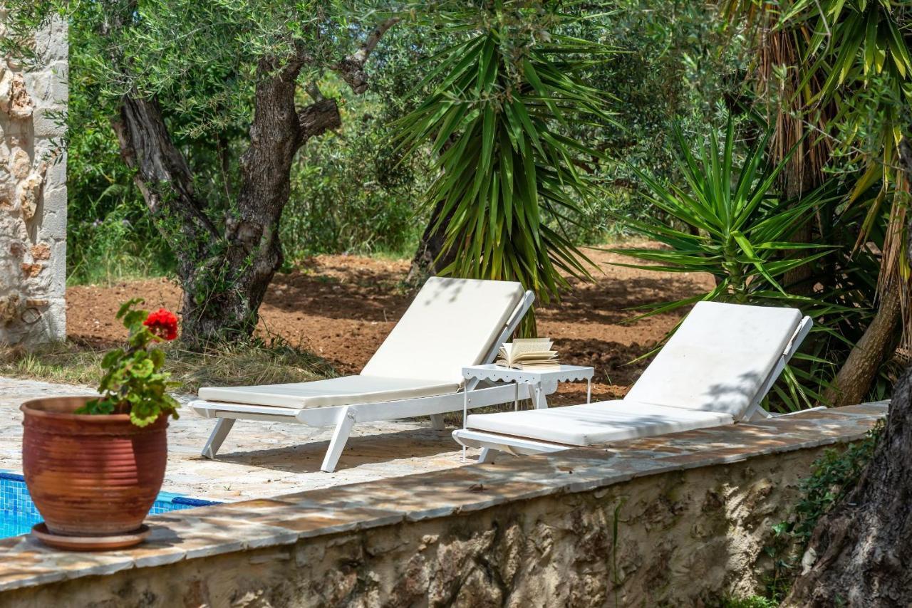 Olivegrove Villa - Nestled In Olive Trees With Private Pool, By Zantewize ตรากากิ ภายนอก รูปภาพ
